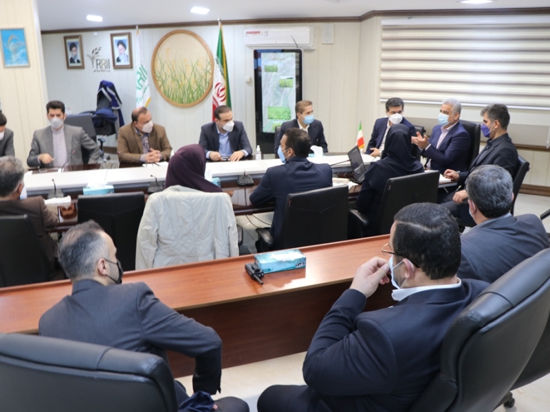 اهمیت برقراری پیوند بین تولید محصولات کشاورزی با فعالیتهای دانشبنیان