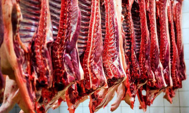 کشور نیازی به واردات گوشت قرمز ندارد