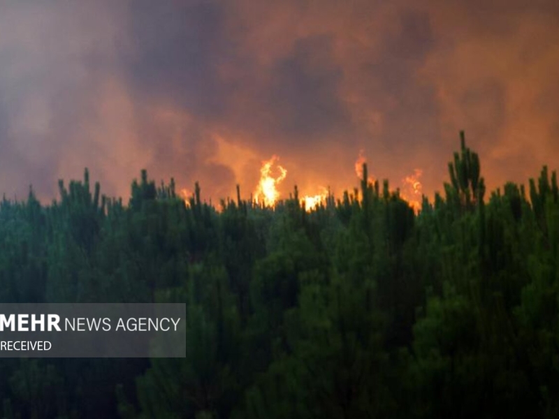 احتمال وقوع آتش سوزی در مناطق جنگلی و تالابی گیلان
