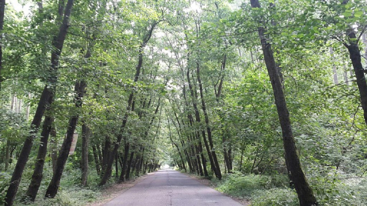 استقرار هوای پایدار تا پایان هفته در گیلان