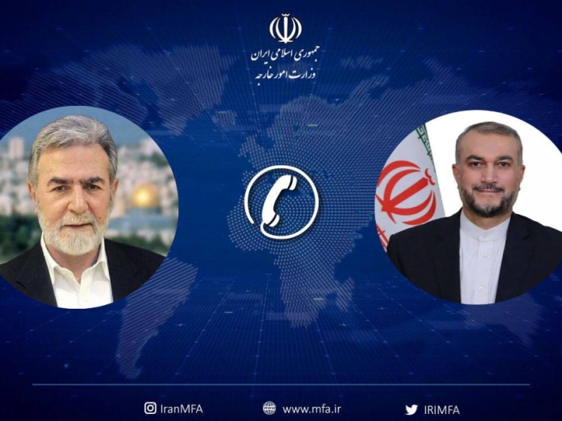 امیرعبداللهیان: تحولات جاری در صحنه فلسطین سرمایه مهمی است