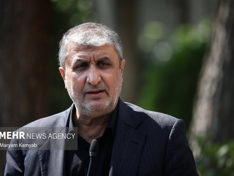 روند مذاکرات با آژانس در حال پیشرفت است