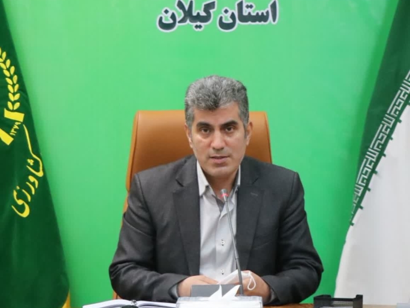 شخم ۷۵ درصدی شالیزارهای استان گیلان