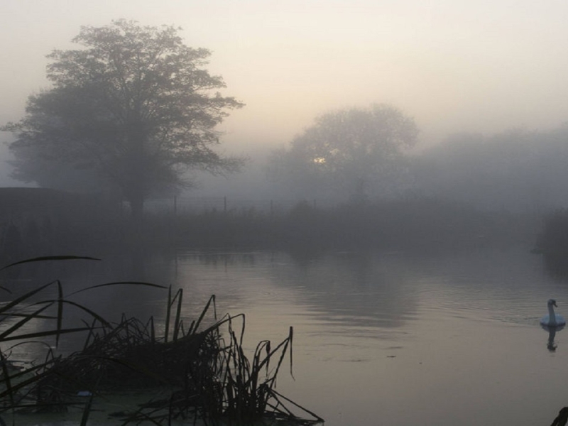 هوای گیلان تا یکشنبه آینده مه آلود است