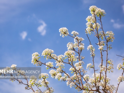 پایداری هوا در استان گیلان طی ۴۸ ساعت آینده