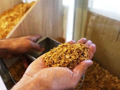 کشف ۵ تن توتون قاچاق در شمال تهران