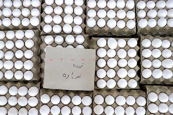 تخم مرغ را گران کنید، تعزیراتی می‌شوید