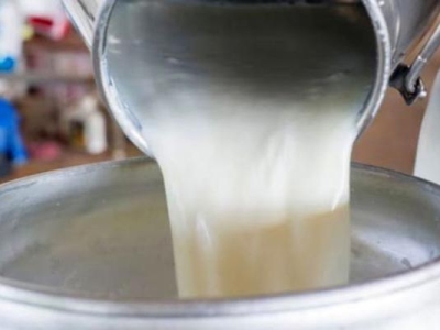 قیمت مصوب شیر خام ابلاغ شد