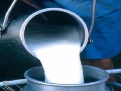 قیمت مواد اولیه و دستمزد کارگری، علت افزایش قیمت شیر خام