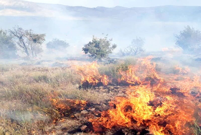 مرگ داوطلب آموزش‌ندیده