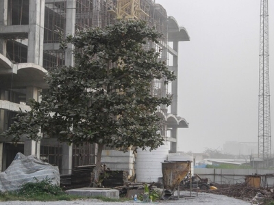 هشدار و آماده‌باش مدیریت بحران برای وزش باد شدید و رعد و برق در تهران