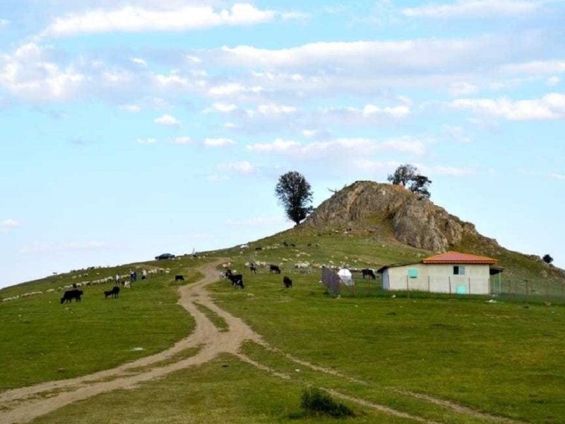 ییلاق لرزره تالش، میزبان جشنواره محصولات عشایر گیلان