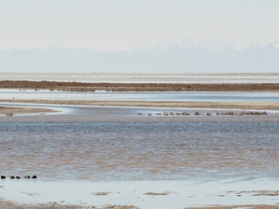 ۹ تالاب ایران در لیست سیاه کنوانسیون رامسر/افت ۱۴ درصدی نمره ایران در از دست دادن تالاب‌ها