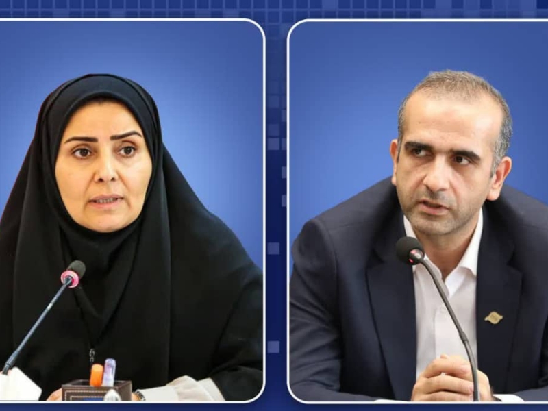 همکاری در زمینه طرح جامع، فرودگاه و مجتمعهای بندری منطقه آزاد انزلی