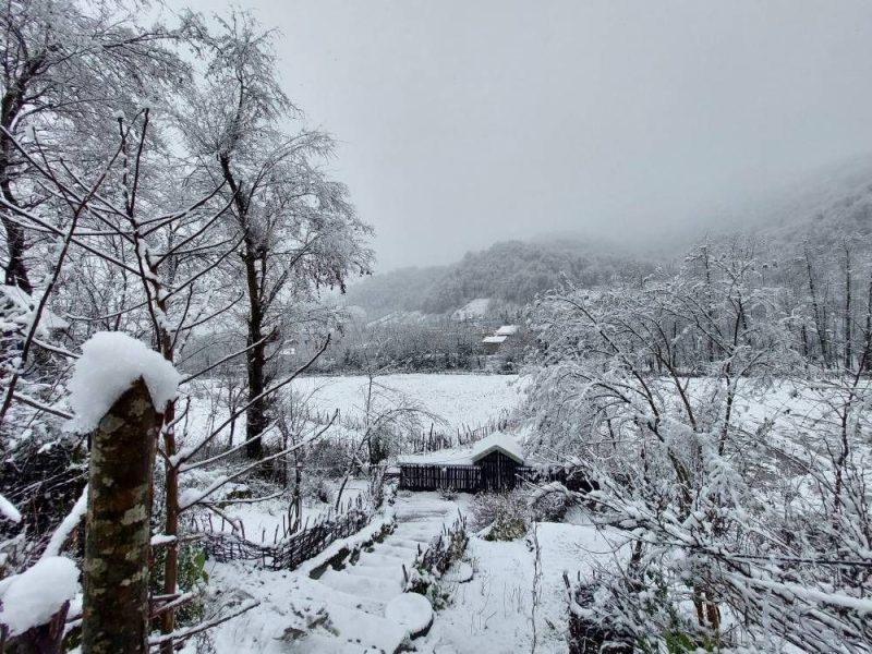 باران و برف در راه گیلان