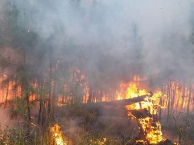 وزش باد گرم و هشدار آتش سوزی