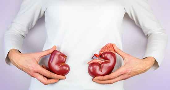 عادت روزانهای که کلیههای شما را به خطر میاندازند