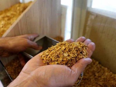 انبار توتون و تنباکو قاچاق در رشت کشف شد