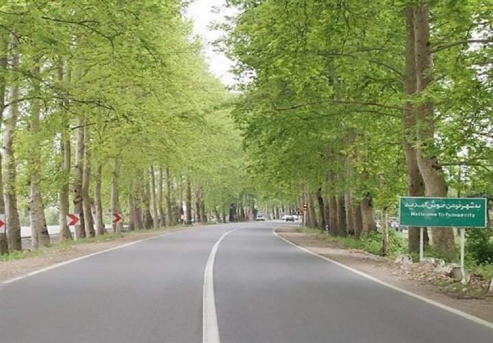 دستور ویژه دادستان فومن به رئیس راهداری برای بازسازی تونل سبز فومن