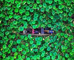 تالاب انزلی و میانکاله در معرض نابودی جدی