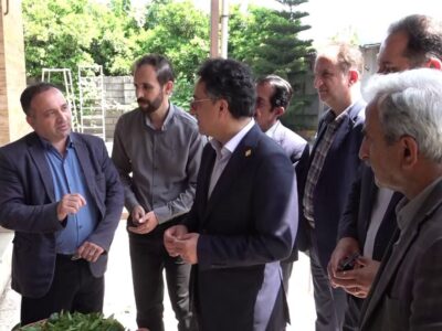 کارخانجات چایسازی گیلان زیر ذره بین استاندارد