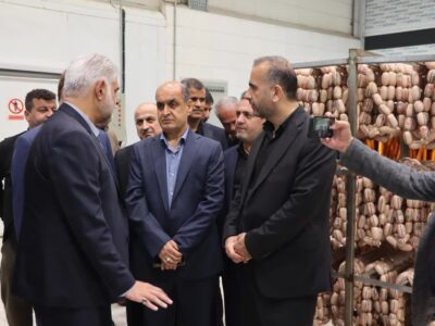 بازدید استاندار گیلان از سه واحد تولیدی در منطقه آزاد انزلی