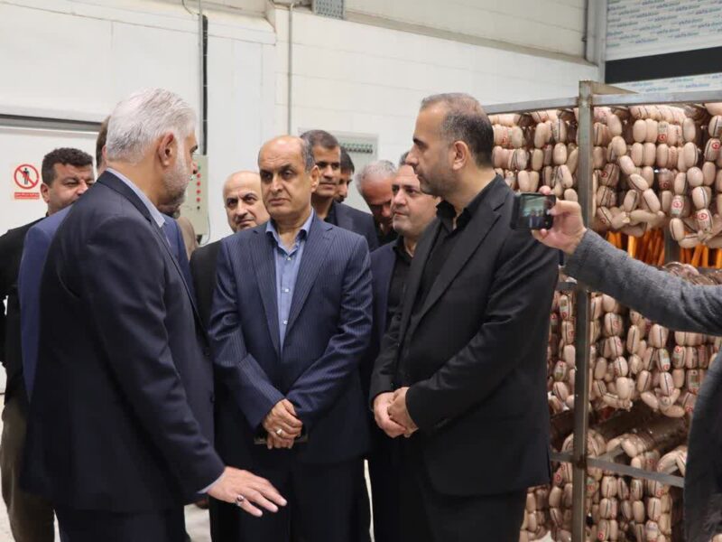 بازدید استاندار گیلان از سه واحد تولیدی در منطقه آزاد انزلی