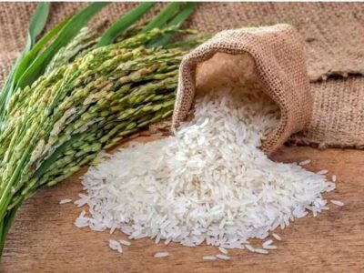 ورود به پرونده گرانفروشان برنج وارداتی