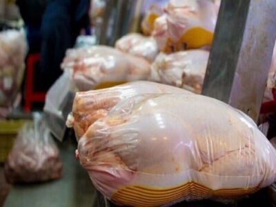 تکذیب بسته بندی مجدد مرغ‌های تاریخ گذشته توسط دامپزشکی گیلان