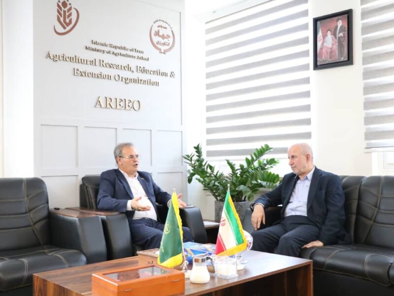 از خاک حاصلخیز تا امنیت غذایی؛ کوچکی‌نژاد به دنبال توسعه کشاورزی تحقیق‌محور گیلان