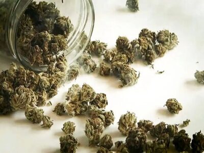 نشانه‌های ظاهری و روانی مصرف گل چیست؟