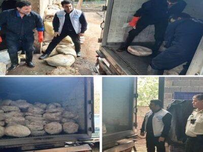 گوشت‌های فاسد در شهرستان شفت معدوم شدند