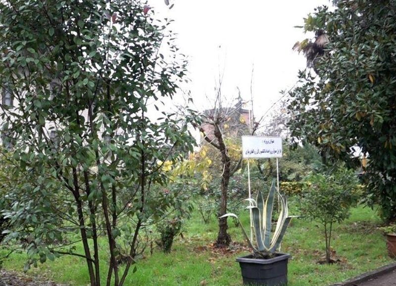 افتتاح باغ ‌موزه گیاه شناسی گیلان در لاهیجان