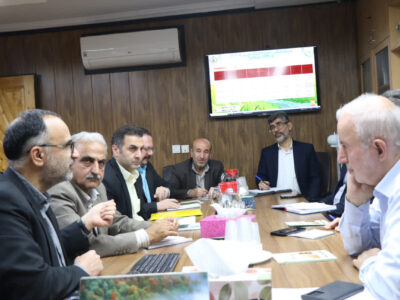 کوچکی‌نژاد: مجلس باید با قوانین حمایتی، صندوق‌های کشاورزی را تقویت کند