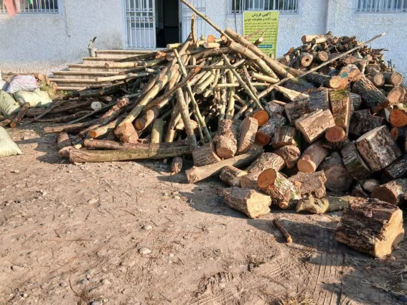 با قاچاق چوب و تخریب منابع طبیعی بدون اغماض برخورد میشود